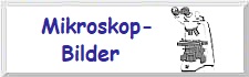 Mikroskop-Bilder